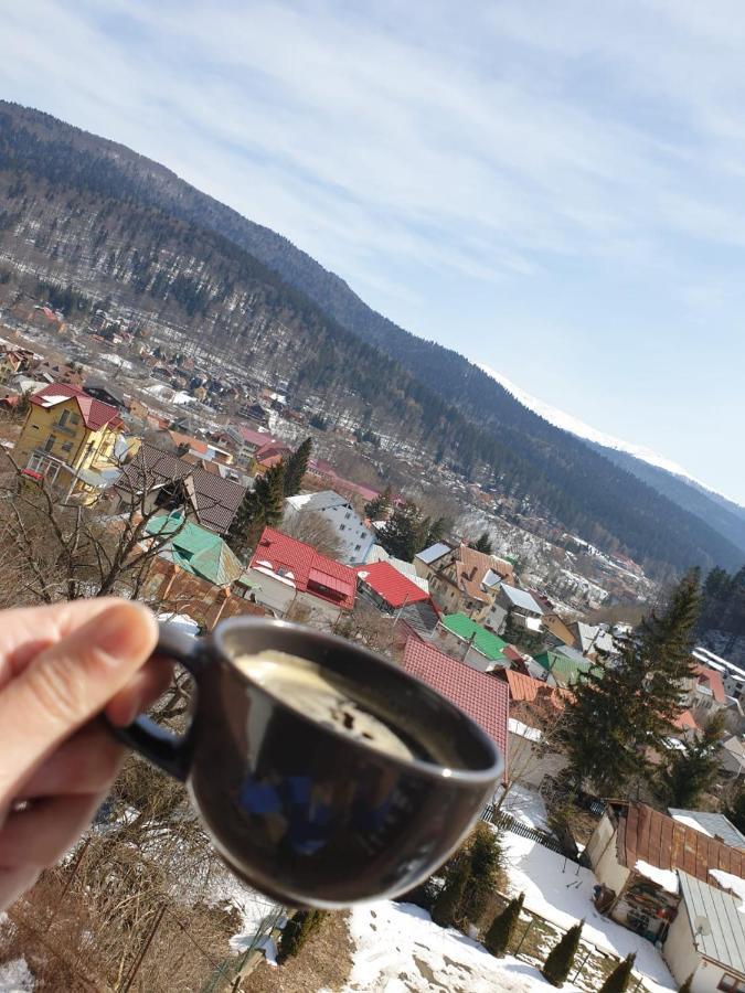 Vila Panoramic Buşteni Eksteriør billede