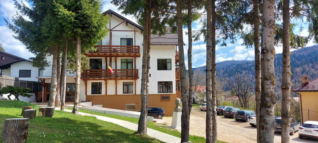 Vila Panoramic Buşteni Eksteriør billede