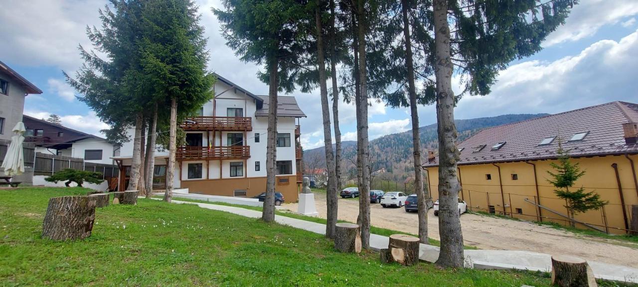 Vila Panoramic Buşteni Eksteriør billede