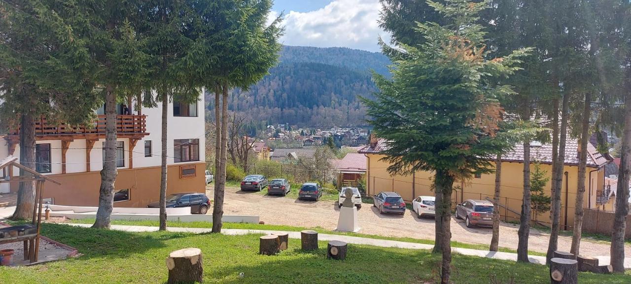 Vila Panoramic Buşteni Eksteriør billede