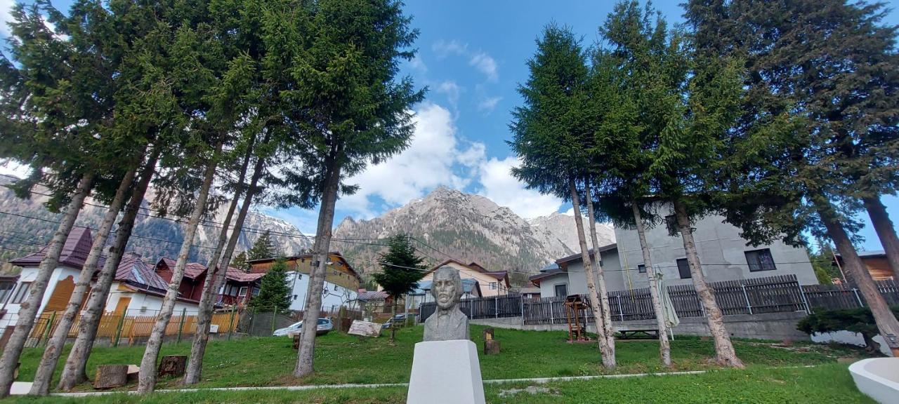 Vila Panoramic Buşteni Eksteriør billede