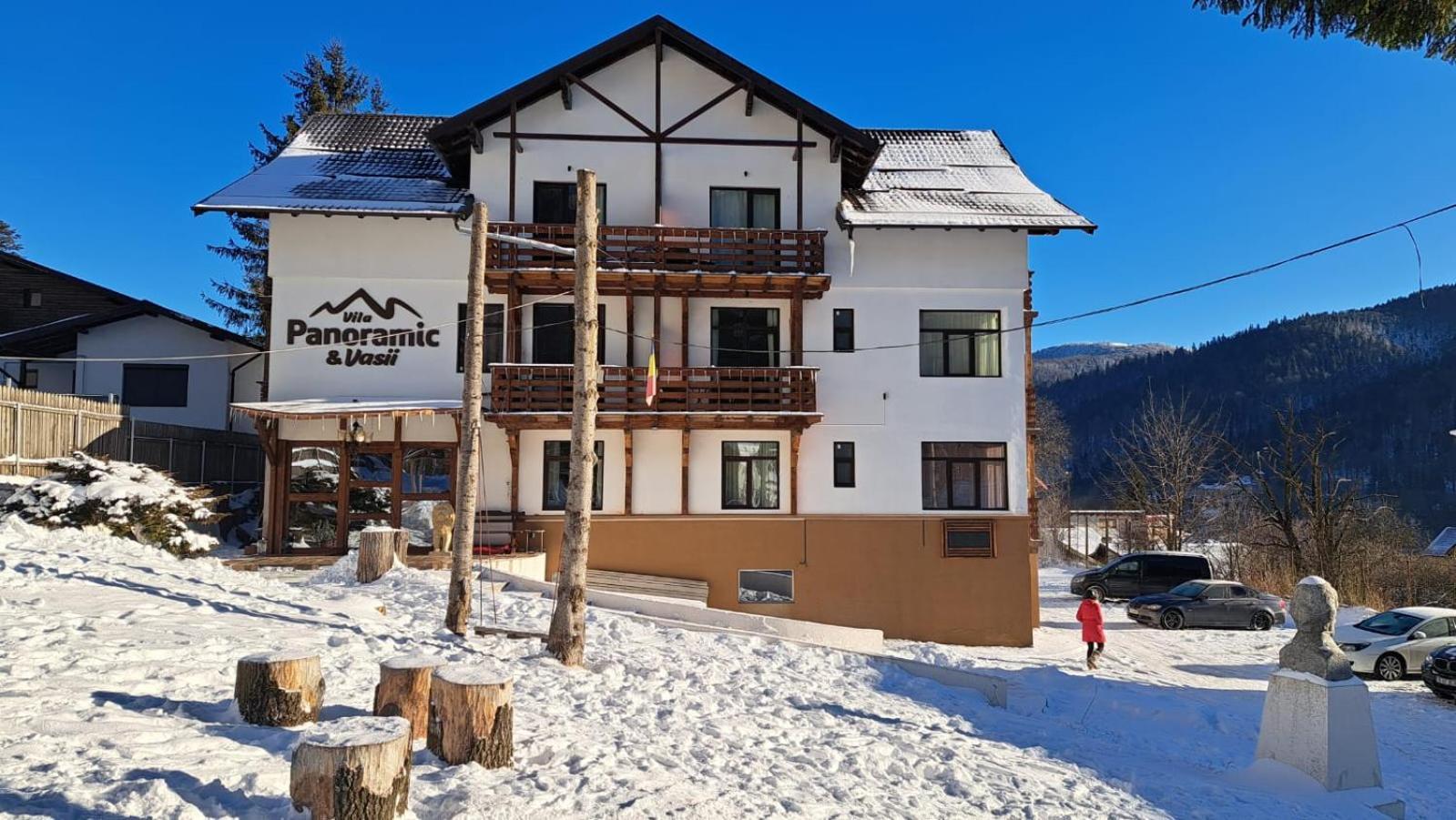 Vila Panoramic Buşteni Eksteriør billede