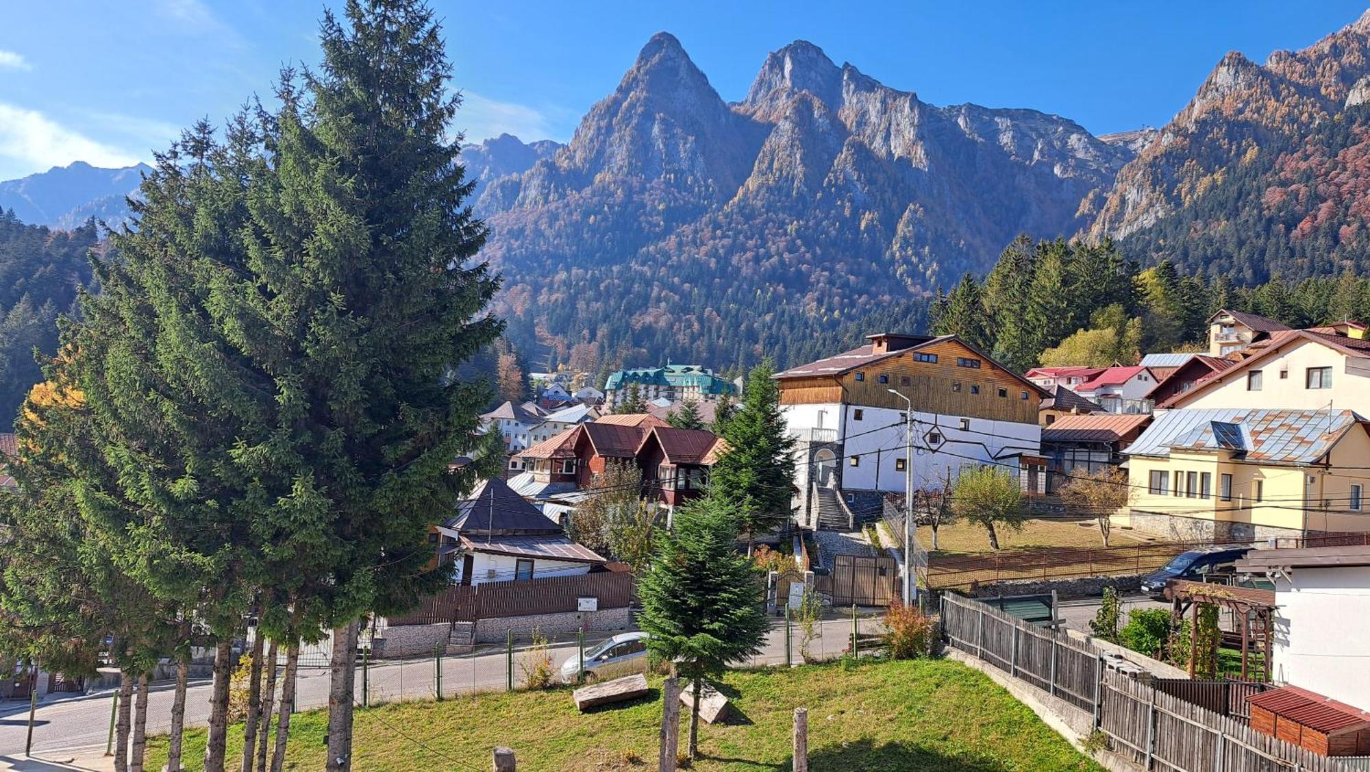Vila Panoramic Buşteni Eksteriør billede