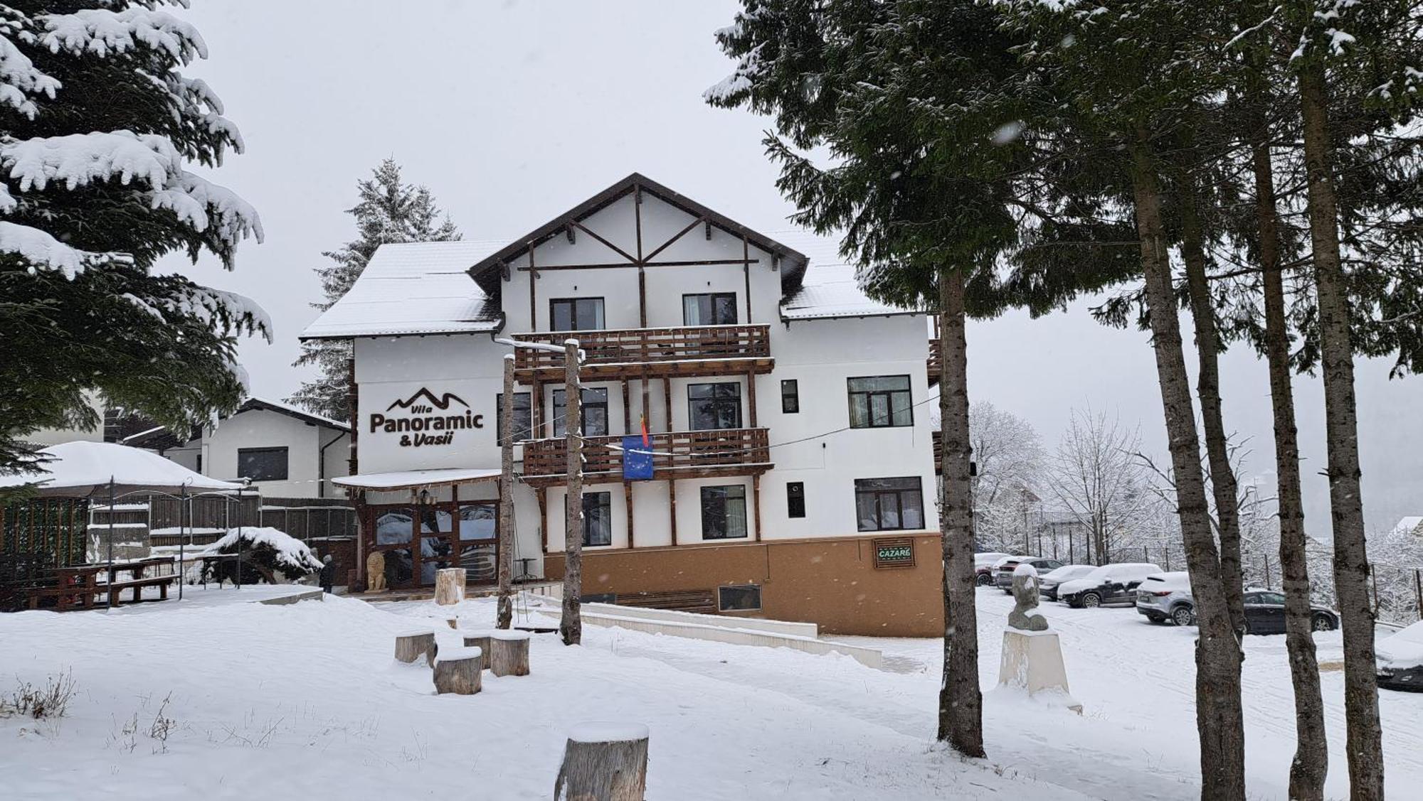 Vila Panoramic Buşteni Eksteriør billede